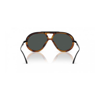 Brown Acetate Sunglasses